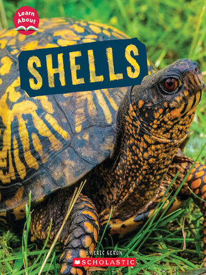 cover image of Shells